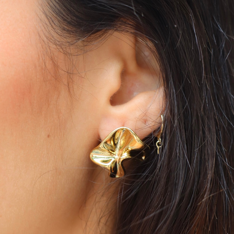 Aretes indomables