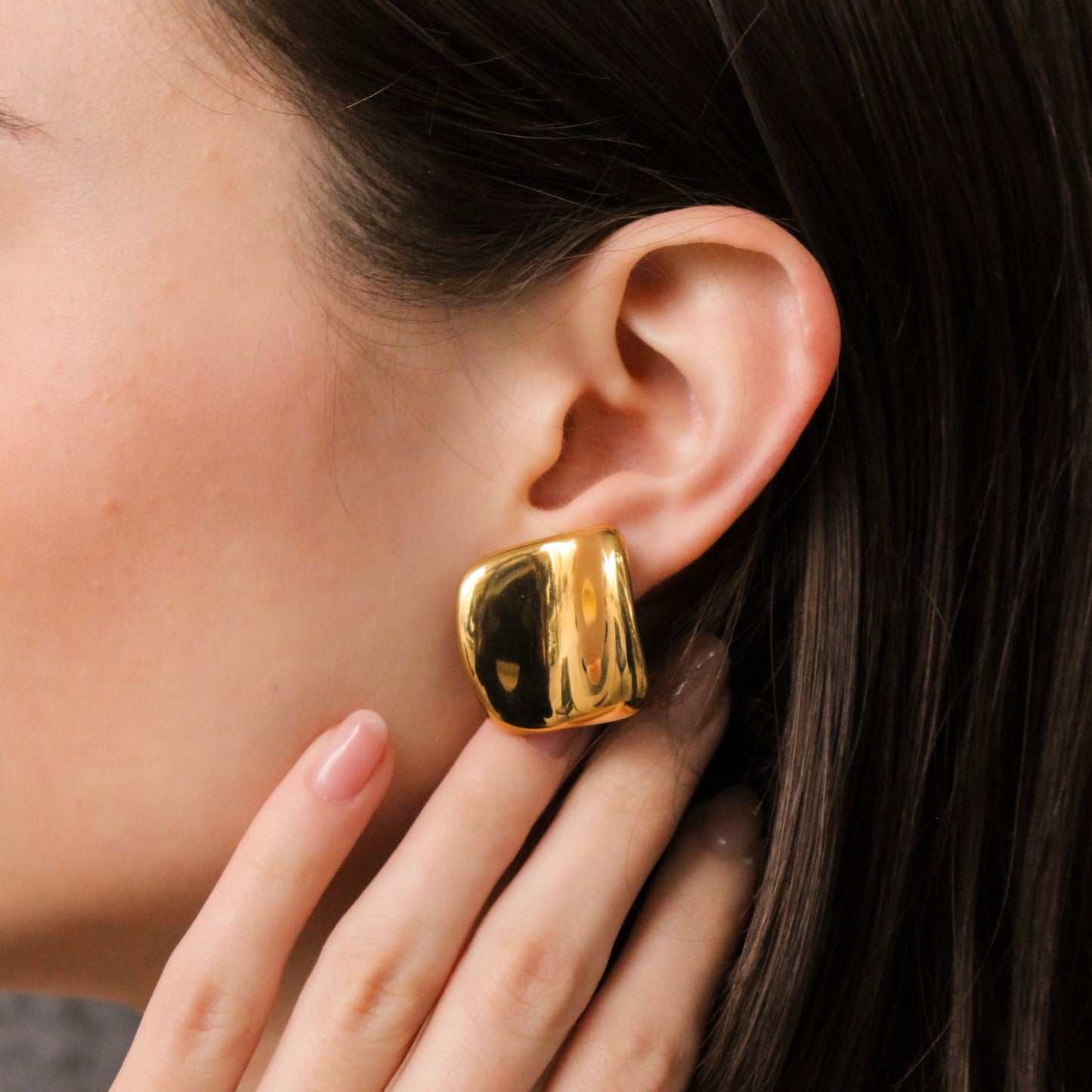 Aretes Sylvie