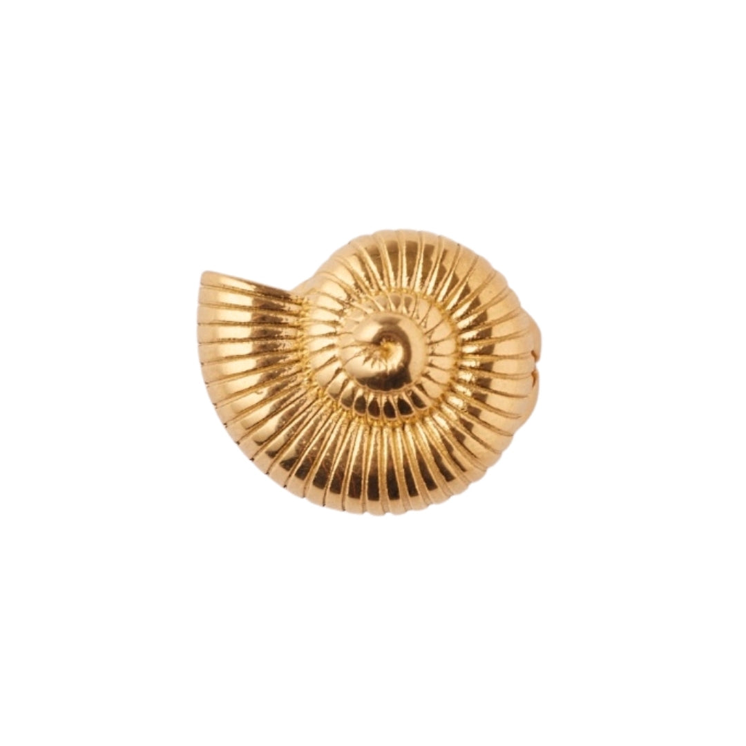 Anillo Caracola