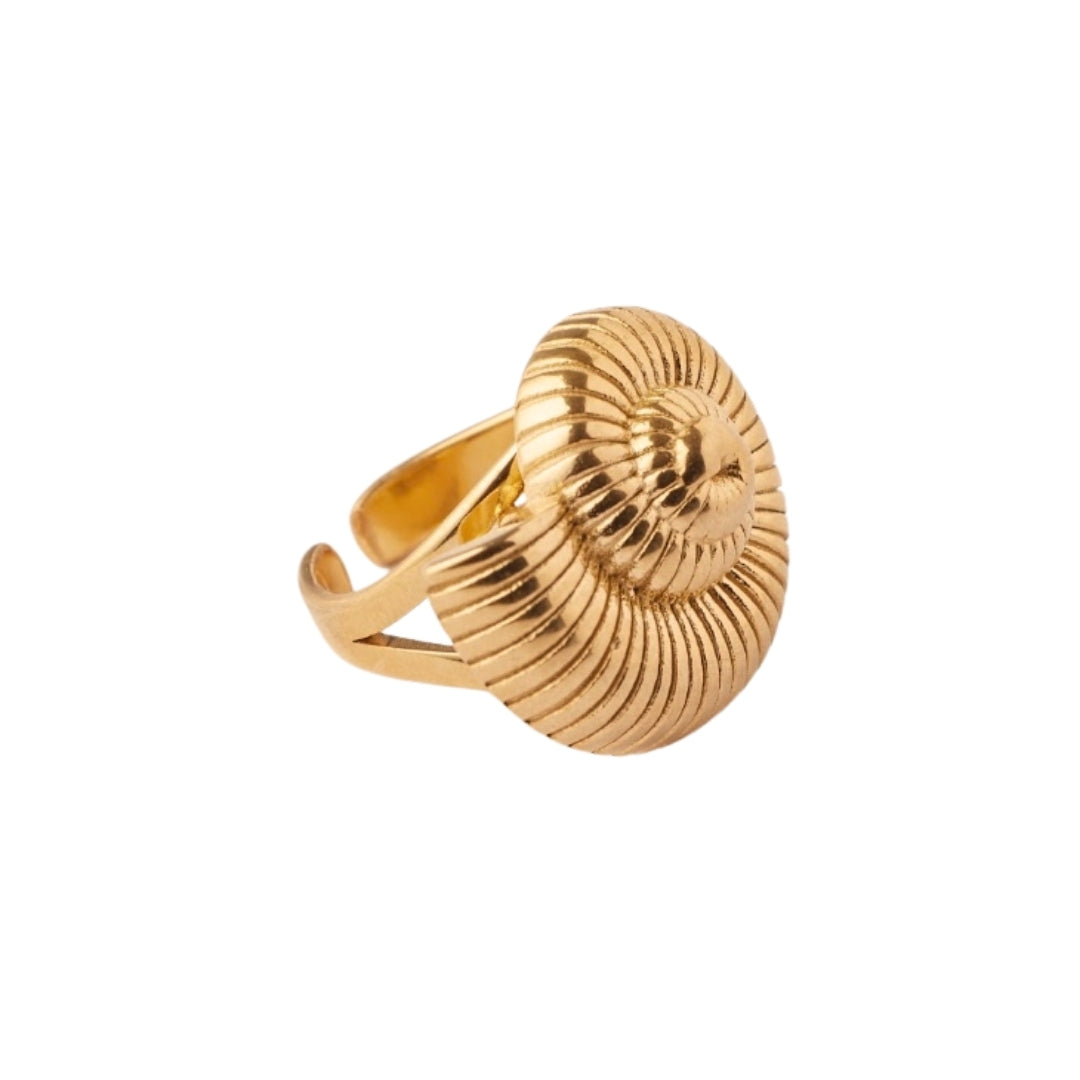 Anillo Caracola