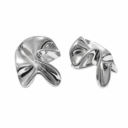 Aretes indomables Plata