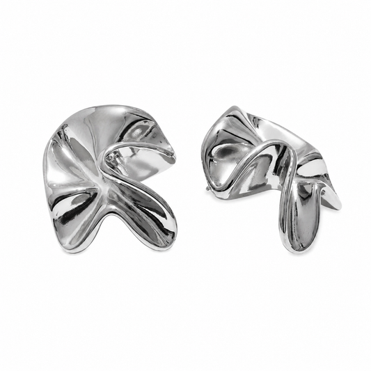 Aretes indomables Plata