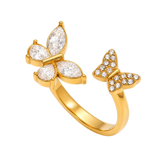 Anillo Flutter