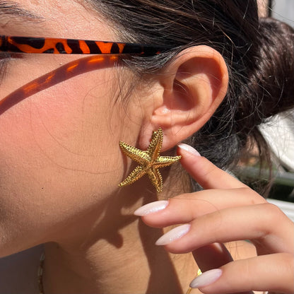 Aretes Amalfi