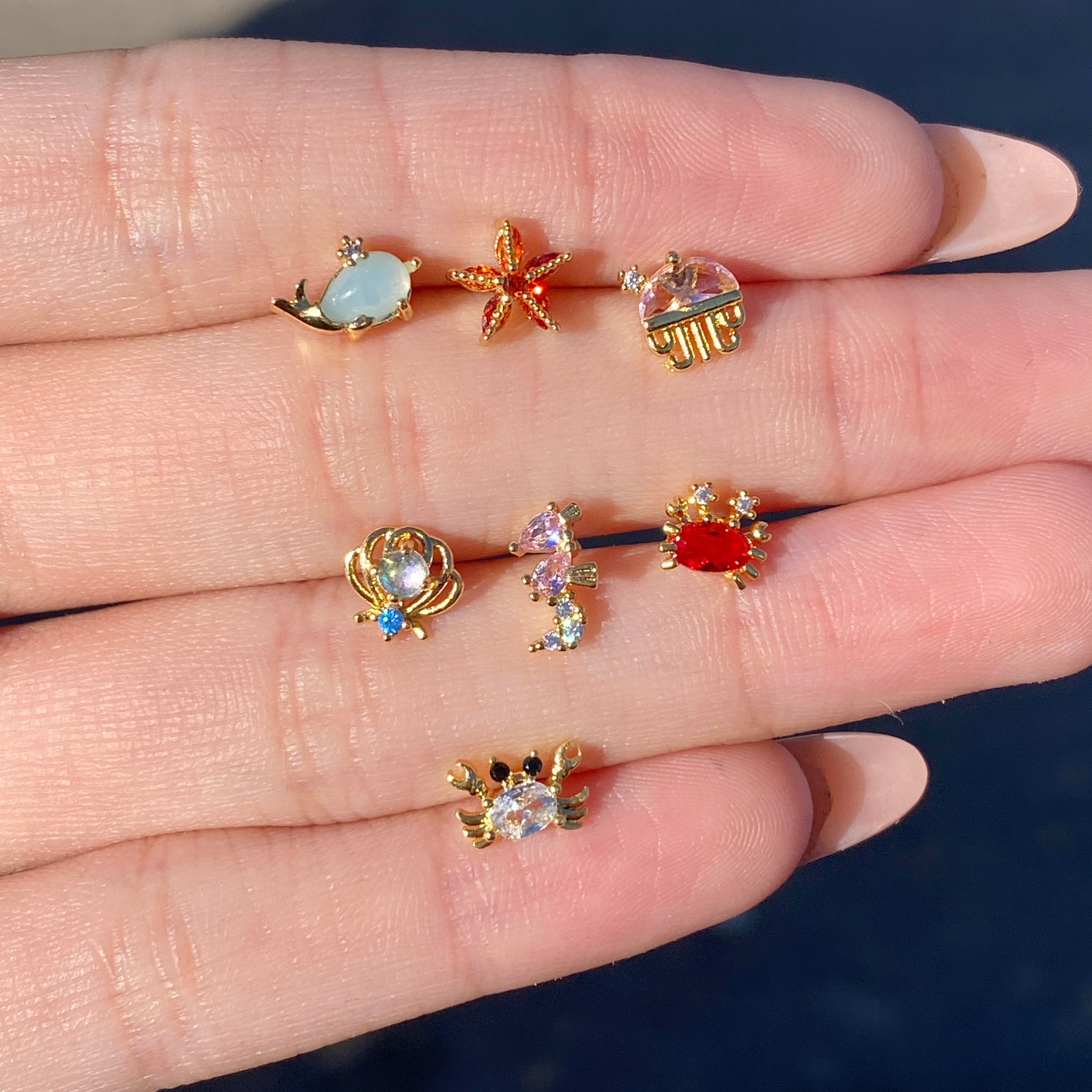 B Under the sea collection🦀